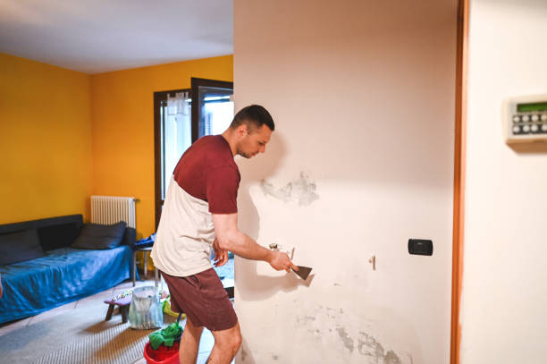 Best Residential Mold Removal  in Bangor, ME